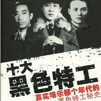 十大黑色特工