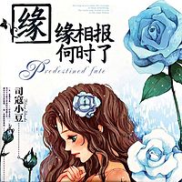 缘缘相报何时了