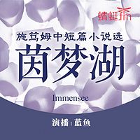 茵梦湖:施笃姆中短篇小说选