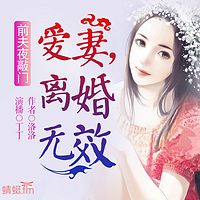 前夫夜敲门:爱妻,离婚无效