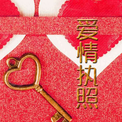 爱情执照 爱情执照