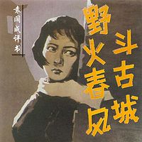 袁阔成:野火春风斗古城