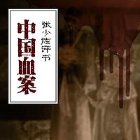 张少佐评书:中国血案