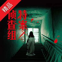 特案侦查组