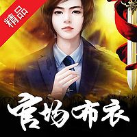 官场布衣
