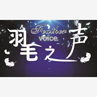 羽毛之声