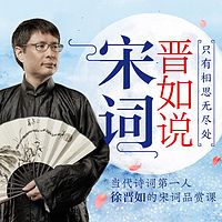 只有相思无尽处:晋如说宋词