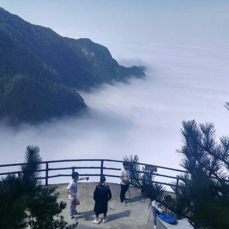 重生弃少归来 001