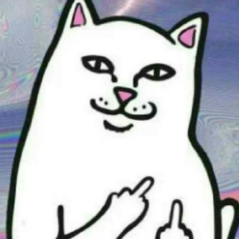 竖中指的猫