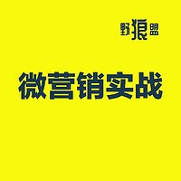 微营销实战技能解析