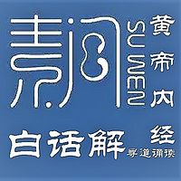 黄帝内经素问白话解