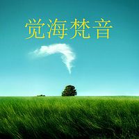 觉海梵音全集
