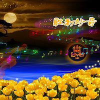 胜利妙音全集