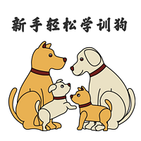 新手轻松学训狗
