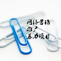 网络营销推广暴力项目