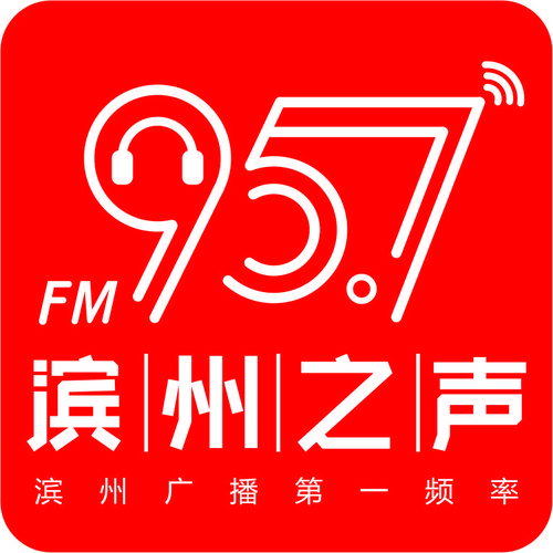 滨州综合广播 logo