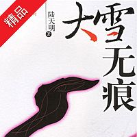 大雪无痕--陆天明反腐力作!