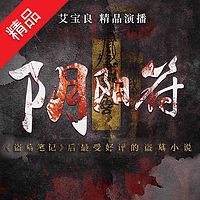 阴阳符(合集)