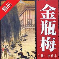 《金瓶梅》(李庆丰文化评书系列)