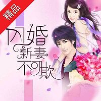 闪婚,新妻不可欺