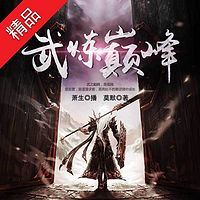 武炼巅峰