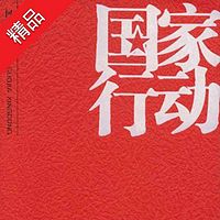 国家行动