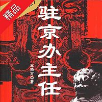 驻京办主任(第1册完结)