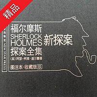 福尔摩斯探案全集9:新探案