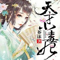 天才小毒妃(芸汐传原著小说)