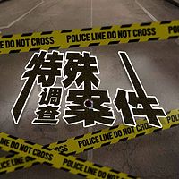 特殊案件调查