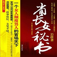副省长女秘书