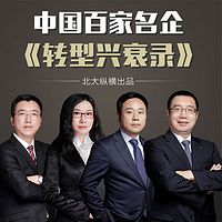 中国百家名企转型兴衰录