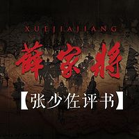 张少佐:薛家将