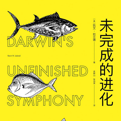 未完成的进化 未完成的进化