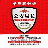 第三种升迁:公安局长