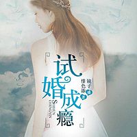 试婚成瘾