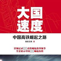 大国速度:中国高铁崛起之路
