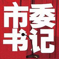 市委书记