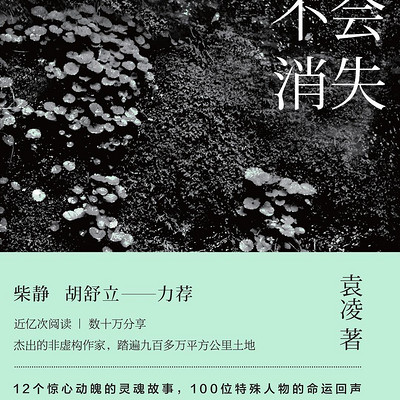 青苔不会消失 青苔不会消失