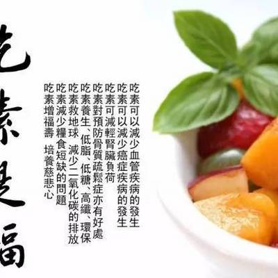 素食养生,吃素是一种美德吃素就是最好的的放生,吃素本身就是一种美德
