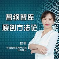 智纲智库原创方法论