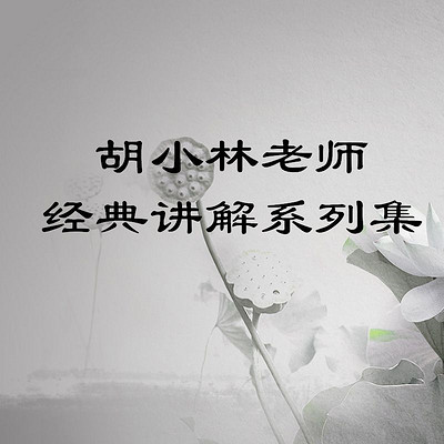 胡小林老师经典讲解系列集