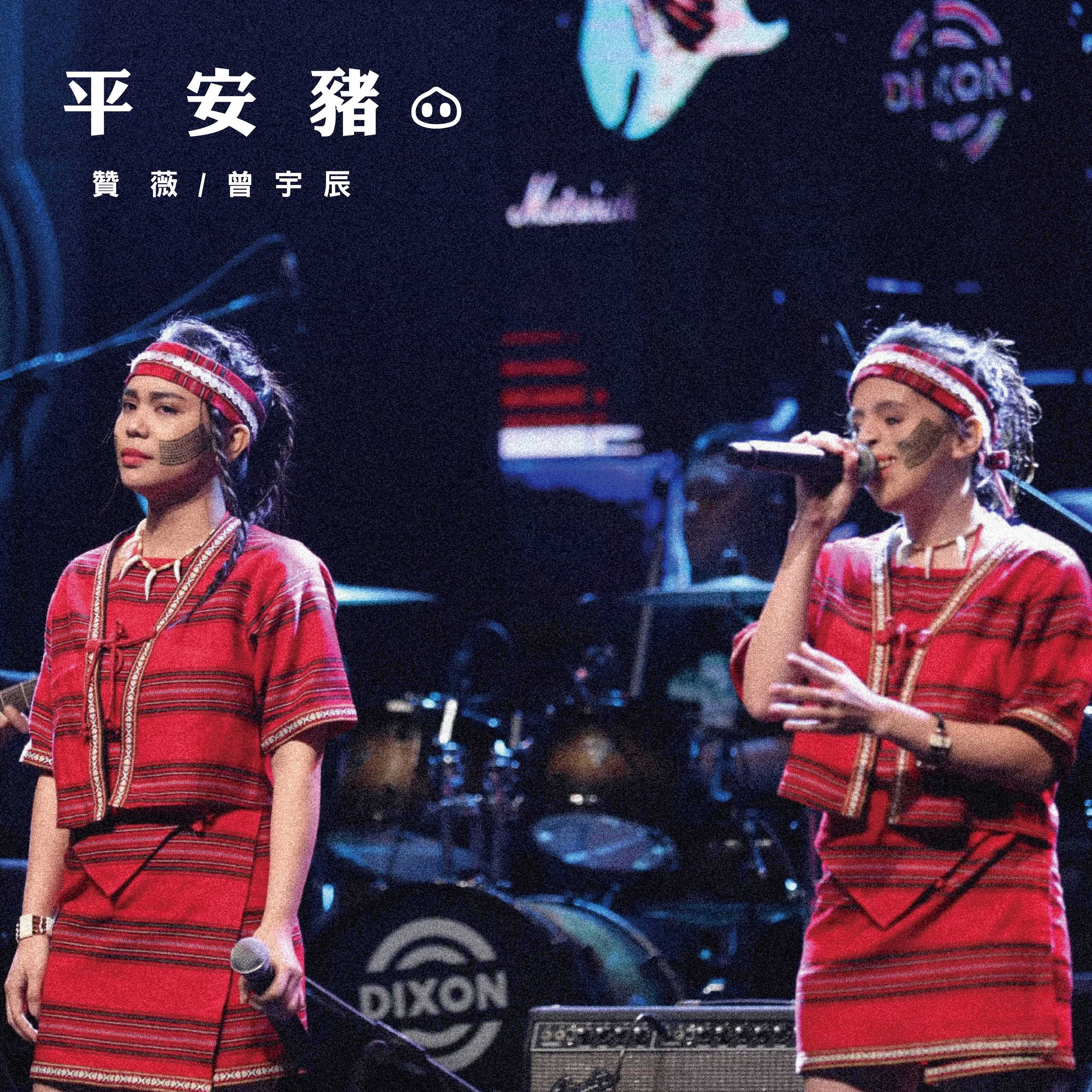 赞薇|曾宇辰:平安猪