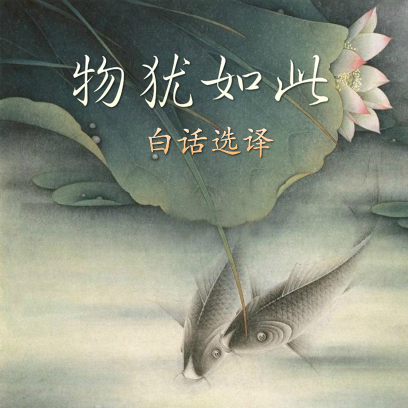 《物犹如此》白话选译