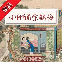 小刚说金瓶梅