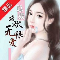 总裁夜欢无限爱