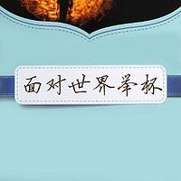 面对世界举杯