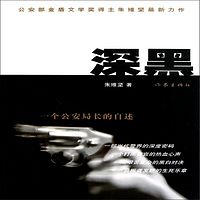 深黑:一个公安局长的自述