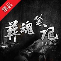 葬魂笔记(乡野鬼事)