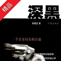 深黑:一个公安局长的自述